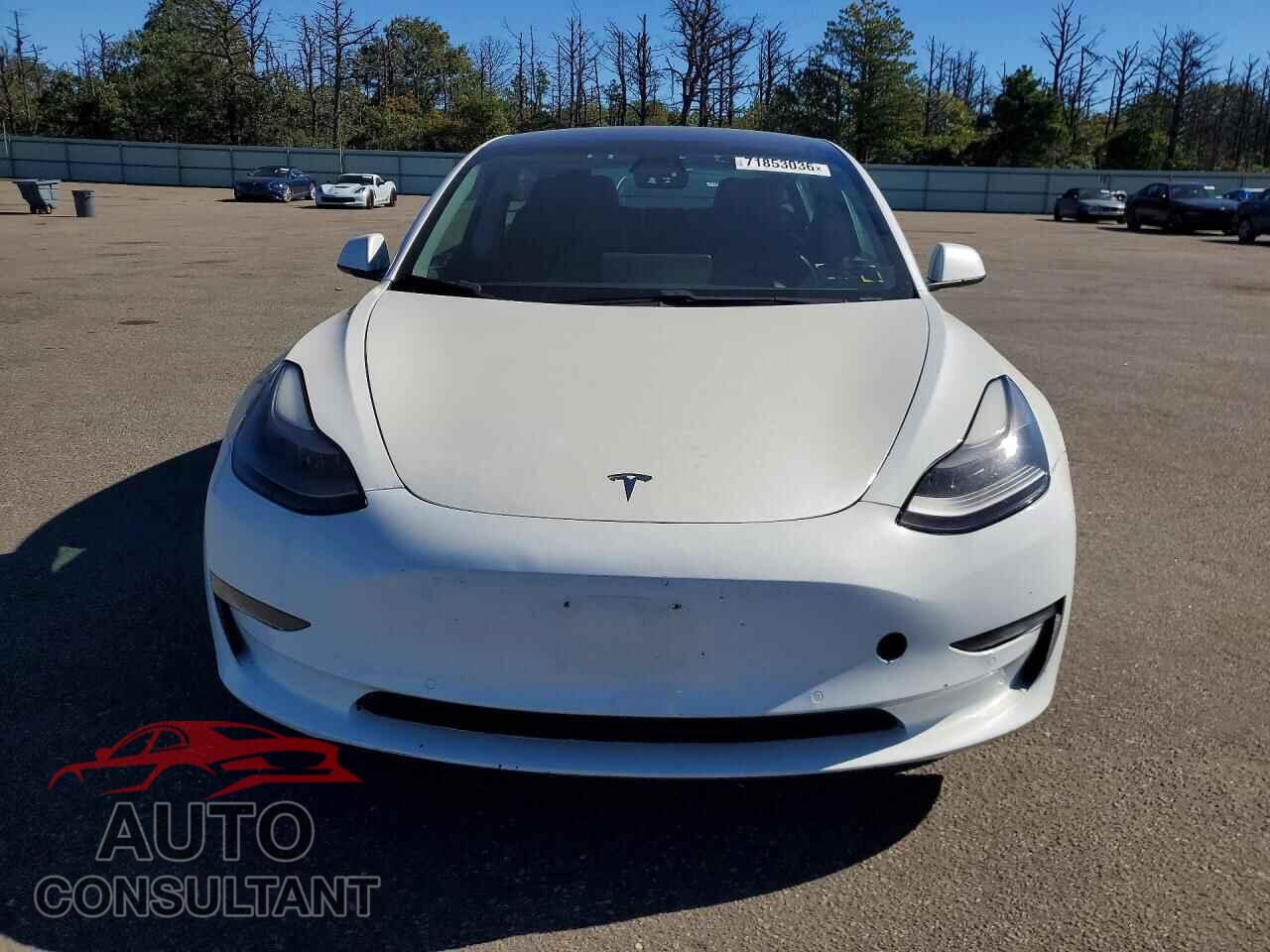TESLA MODEL 3 2021 - 5YJ3E1EA5MF030253