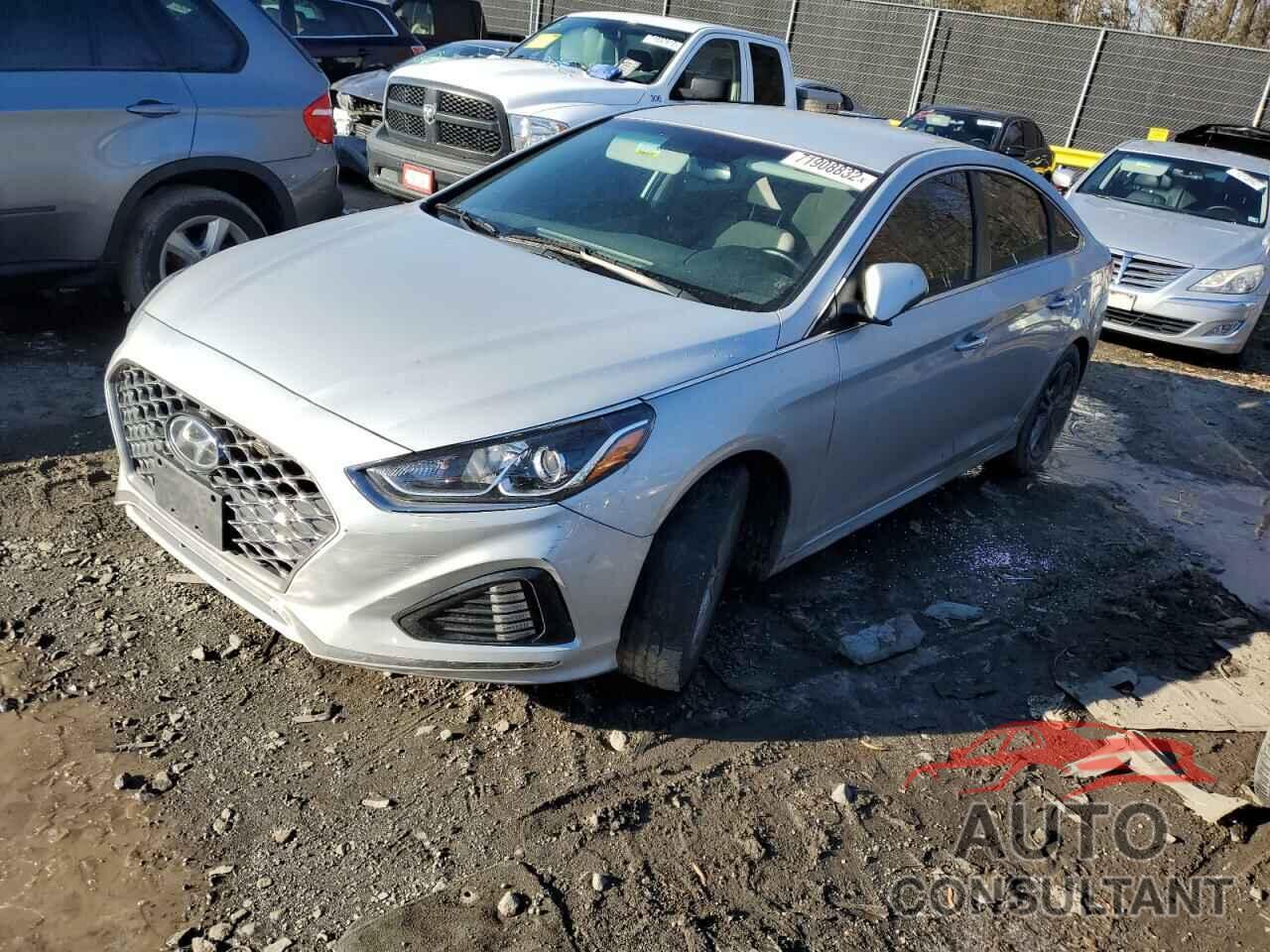 HYUNDAI SONATA 2019 - 5NPE34AF2KH784565