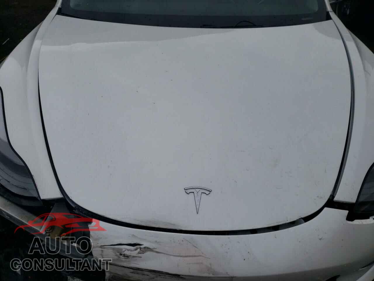 TESLA MODEL 3 2019 - 5YJ3E1EB8KF389599