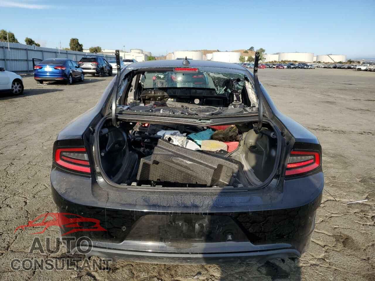 DODGE CHARGER 2019 - 2C3CDXGJ2KH704079