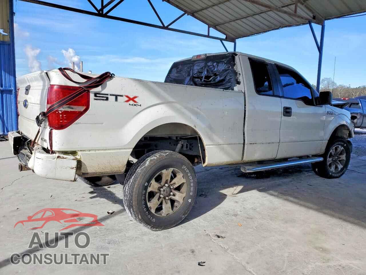 FORD F-150 2013 - 1FTFX1EF8DKF51389