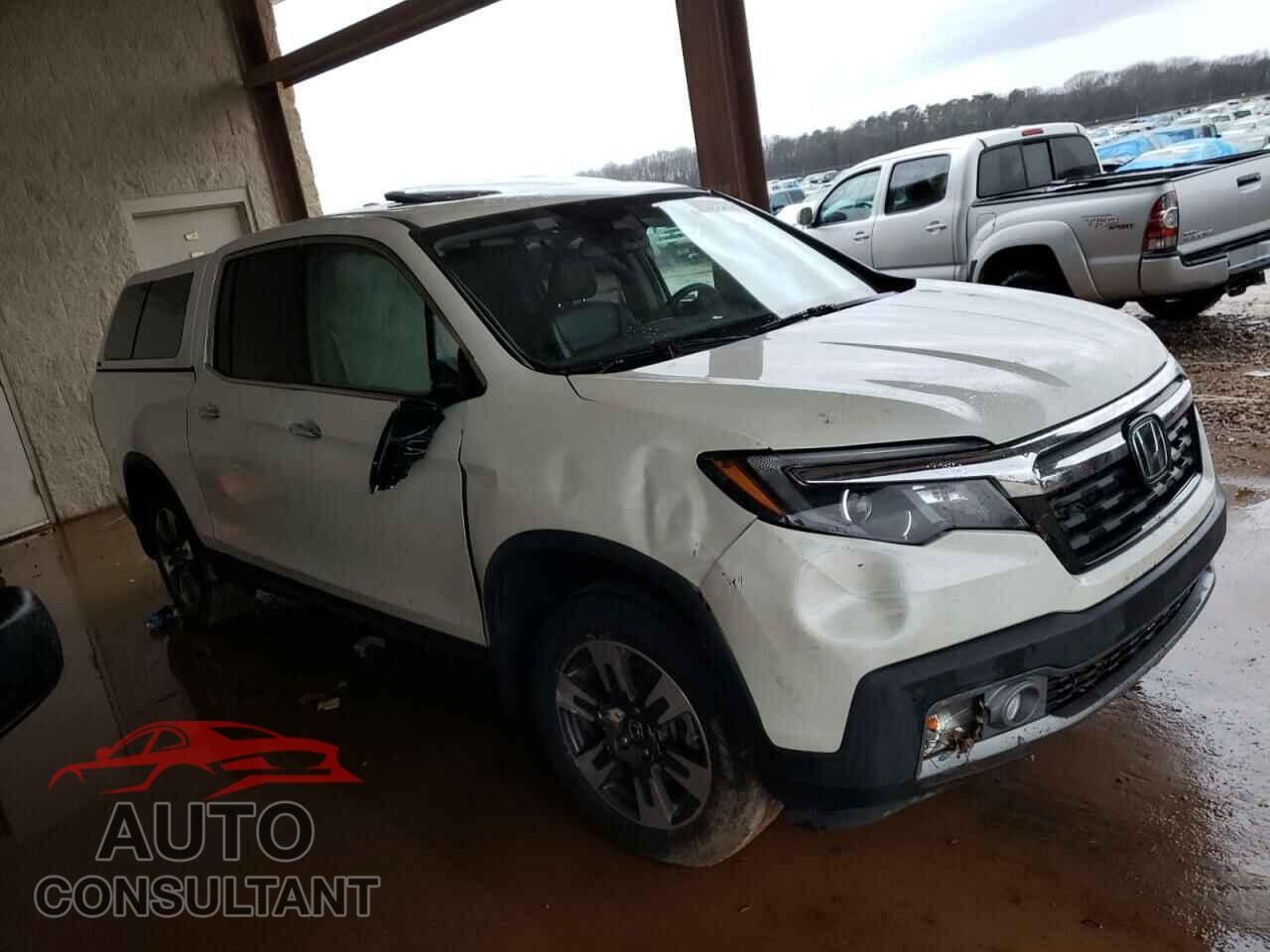 HONDA RIDGELINE 2019 - 5FPYK3F77KB019272