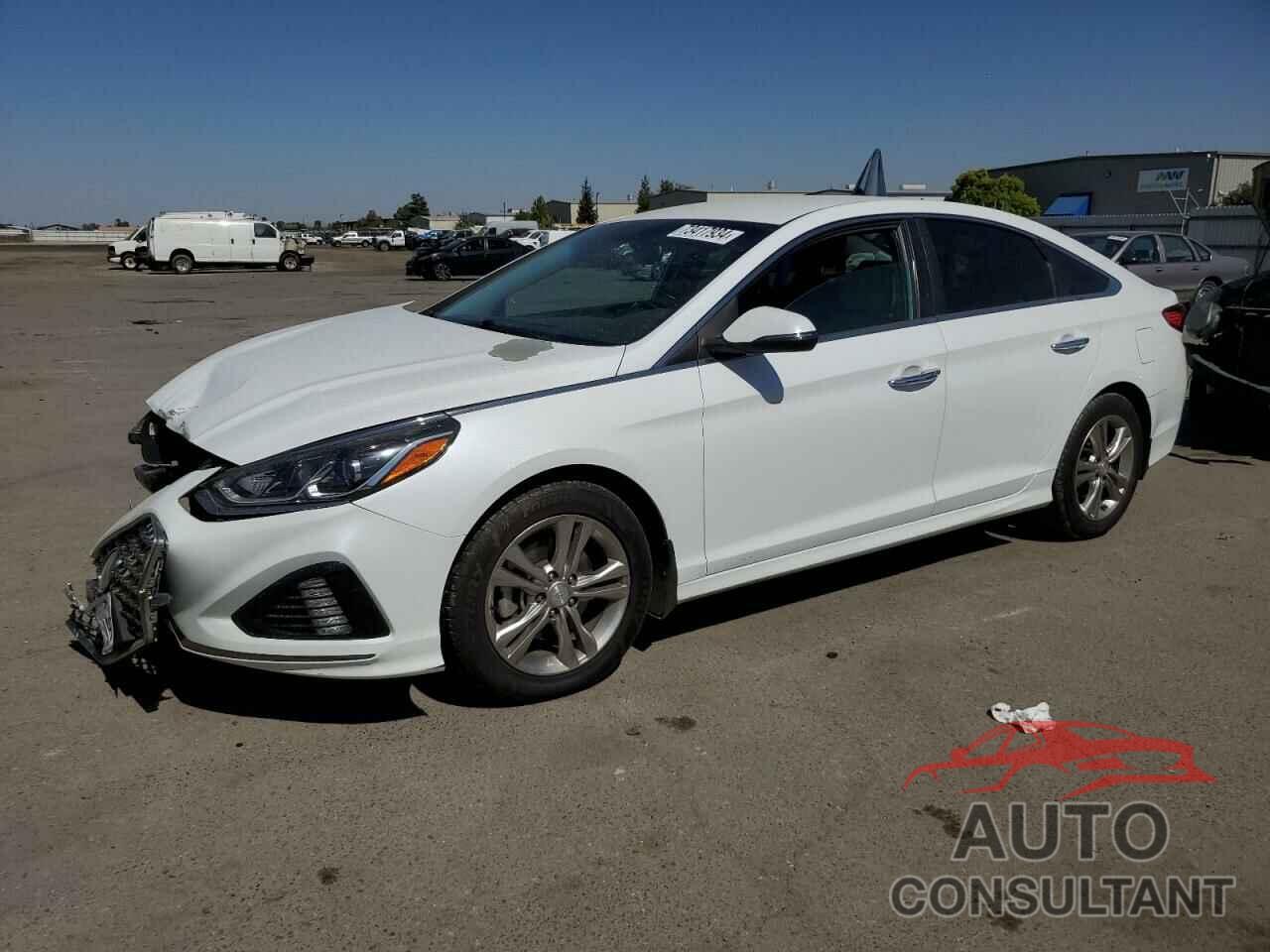 HYUNDAI SONATA 2019 - 5NPE34AF4KH809191