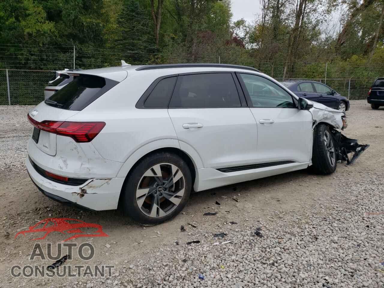 AUDI E-TRON 2022 - WA1AAAGE7NB007722