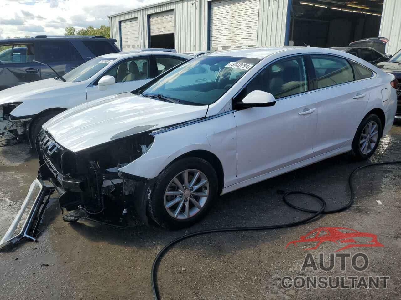 HYUNDAI SONATA 2019 - 5NPE24AF8KH740976