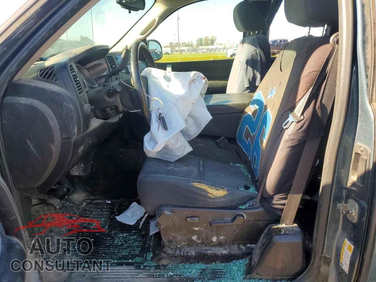 CHEVROLET SILVERADO 2009 - 1GCEC29069Z174157
