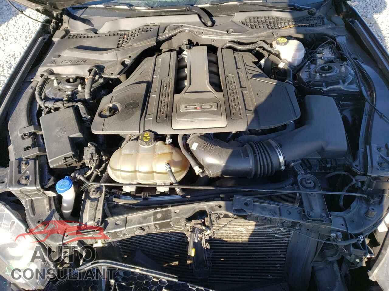 FORD MUSTANG 2019 - 1FA6P8CF7K5141454