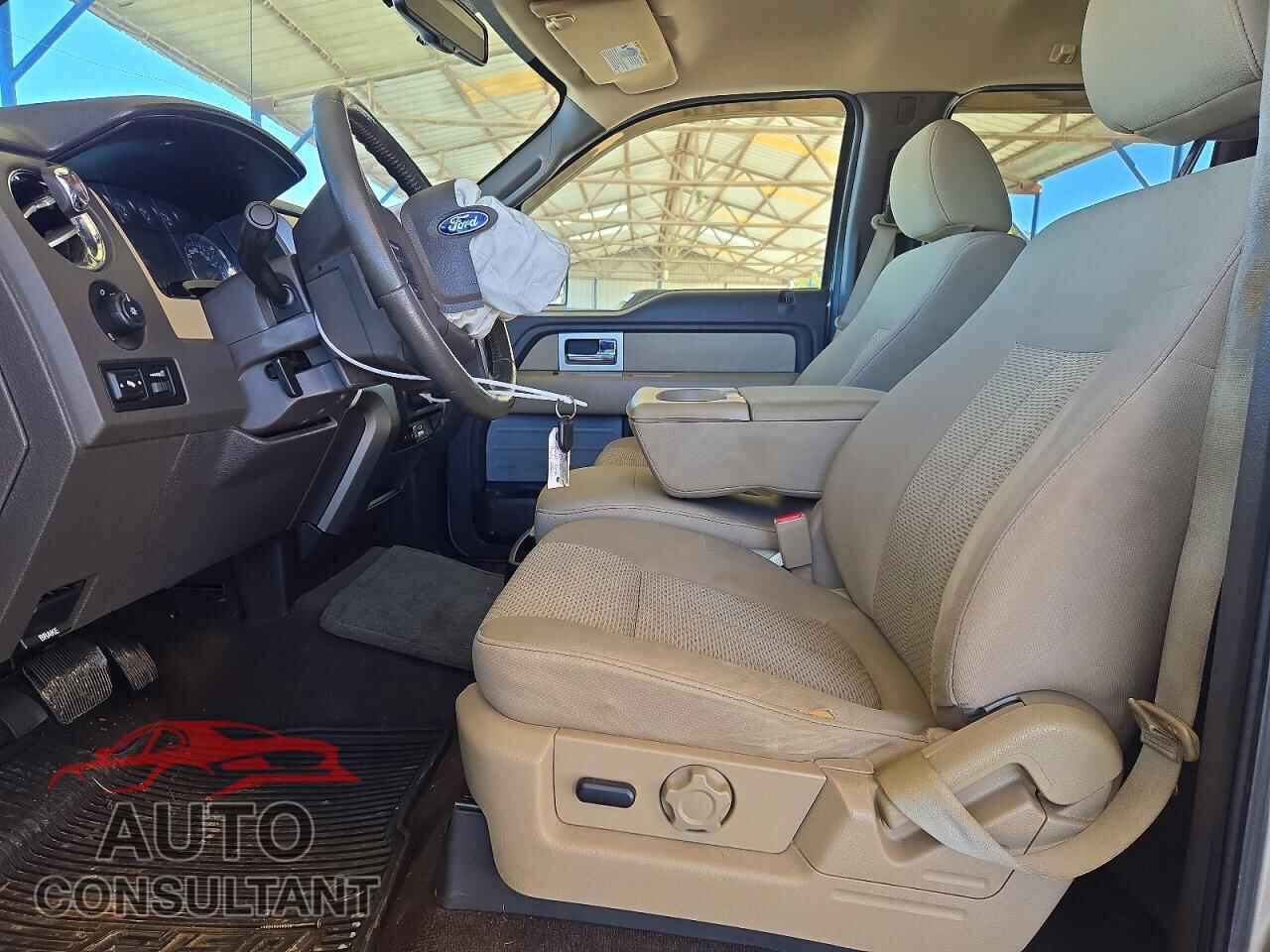 FORD F150 2010 - 1FTEW1E80AFB84847