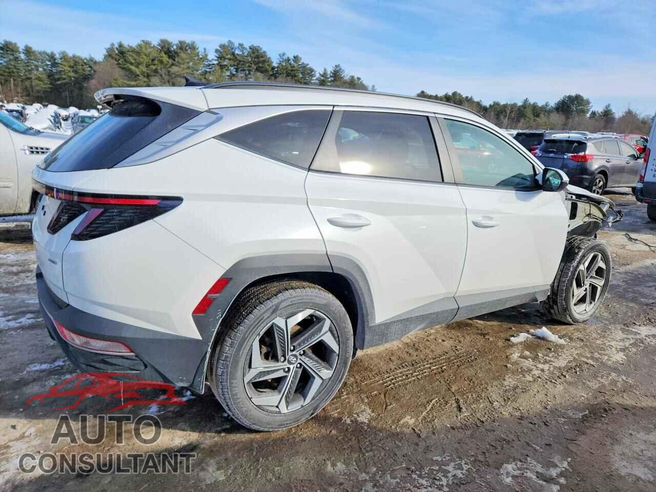 HYUNDAI TUCSON 2023 - 5NMJFCAE3PH185119