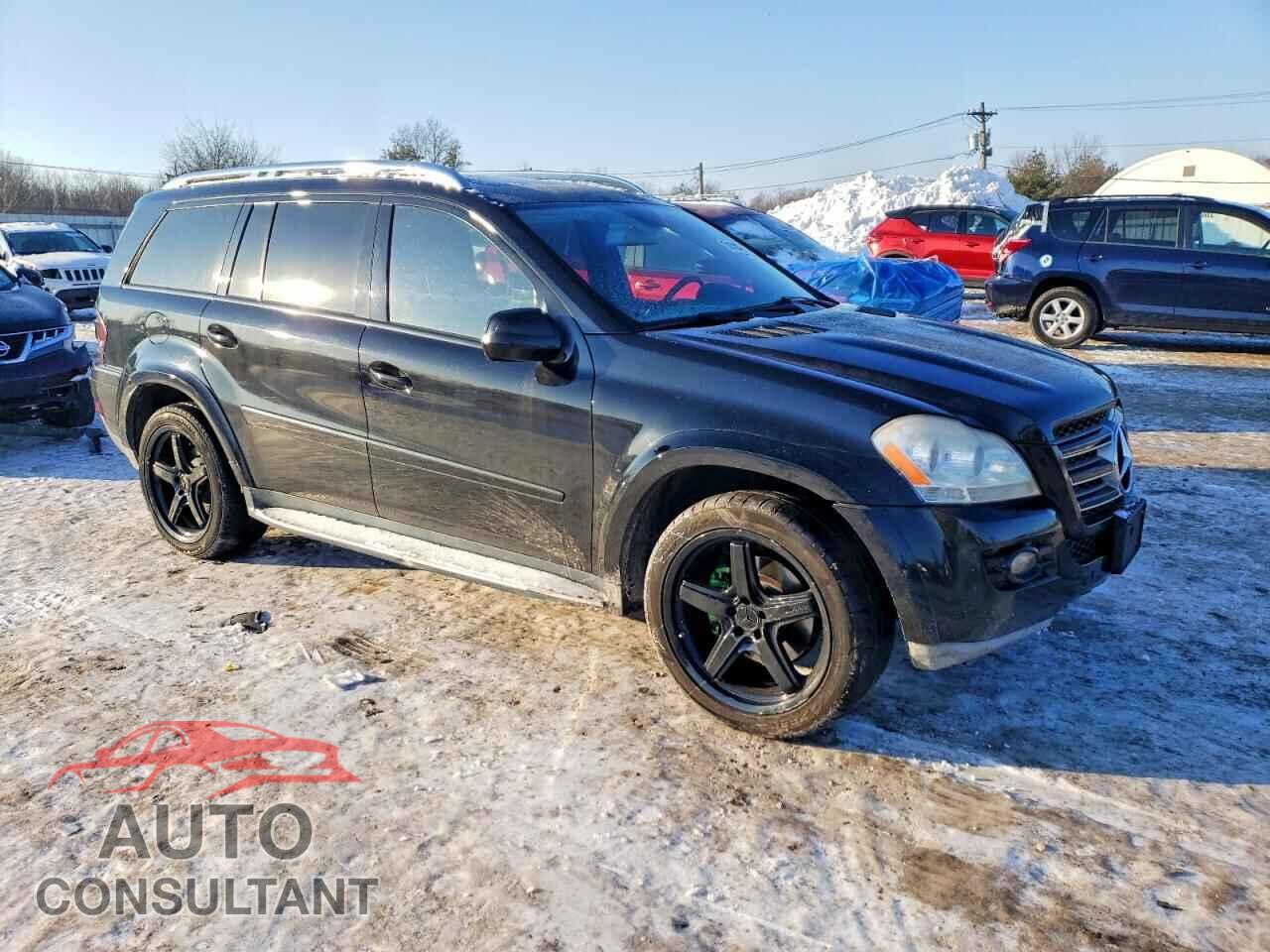 MERCEDES-BENZ GL-CLASS 2009 - 4JGBF86E99A460480