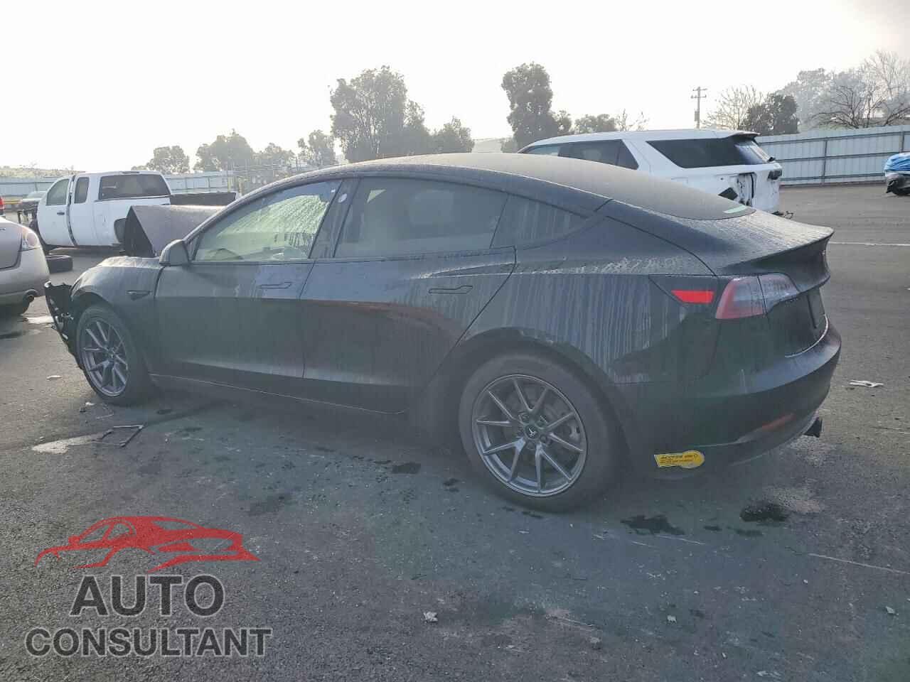 TESLA MODEL 3 2022 - 5YJ3E1EB7NF206603