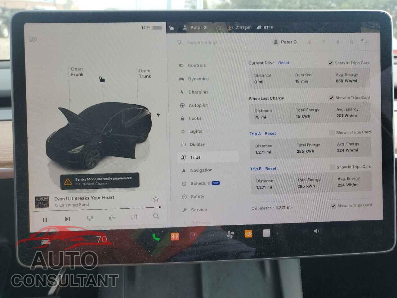 TESLA MODEL Y 2024 - 7SAYGDEE8RF181067