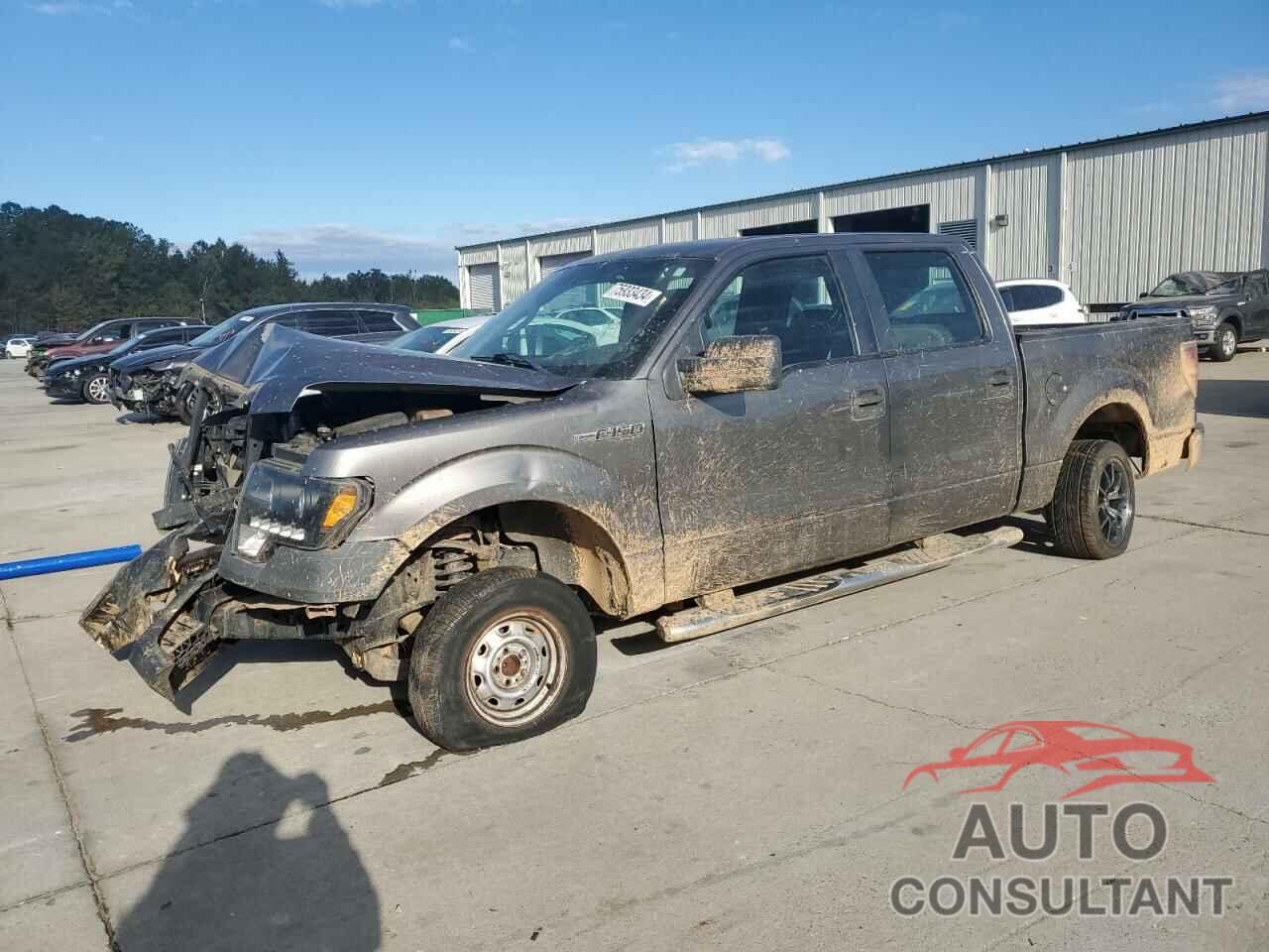 FORD F-150 2009 - 1FTRW12W49FA61925