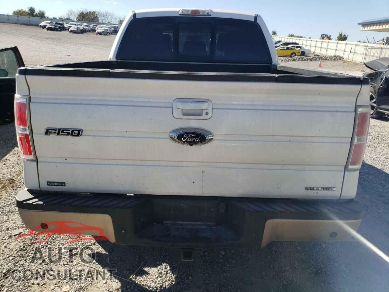 FORD F-150 2011 - 1FTFW1CFXBFA03633
