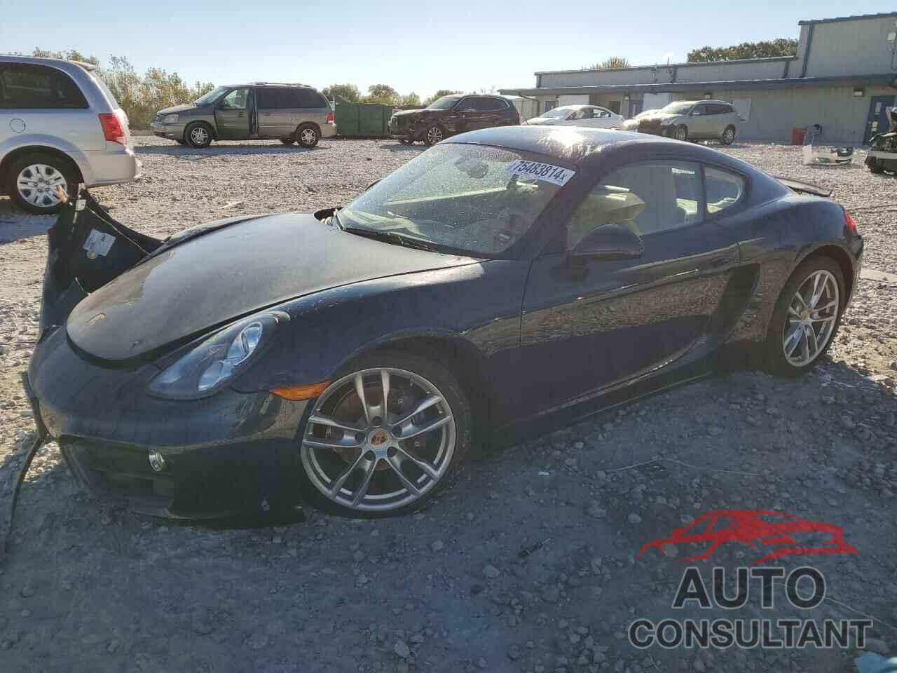 PORSCHE CAYMAN 2014 - WP0AA2A8XEK173067