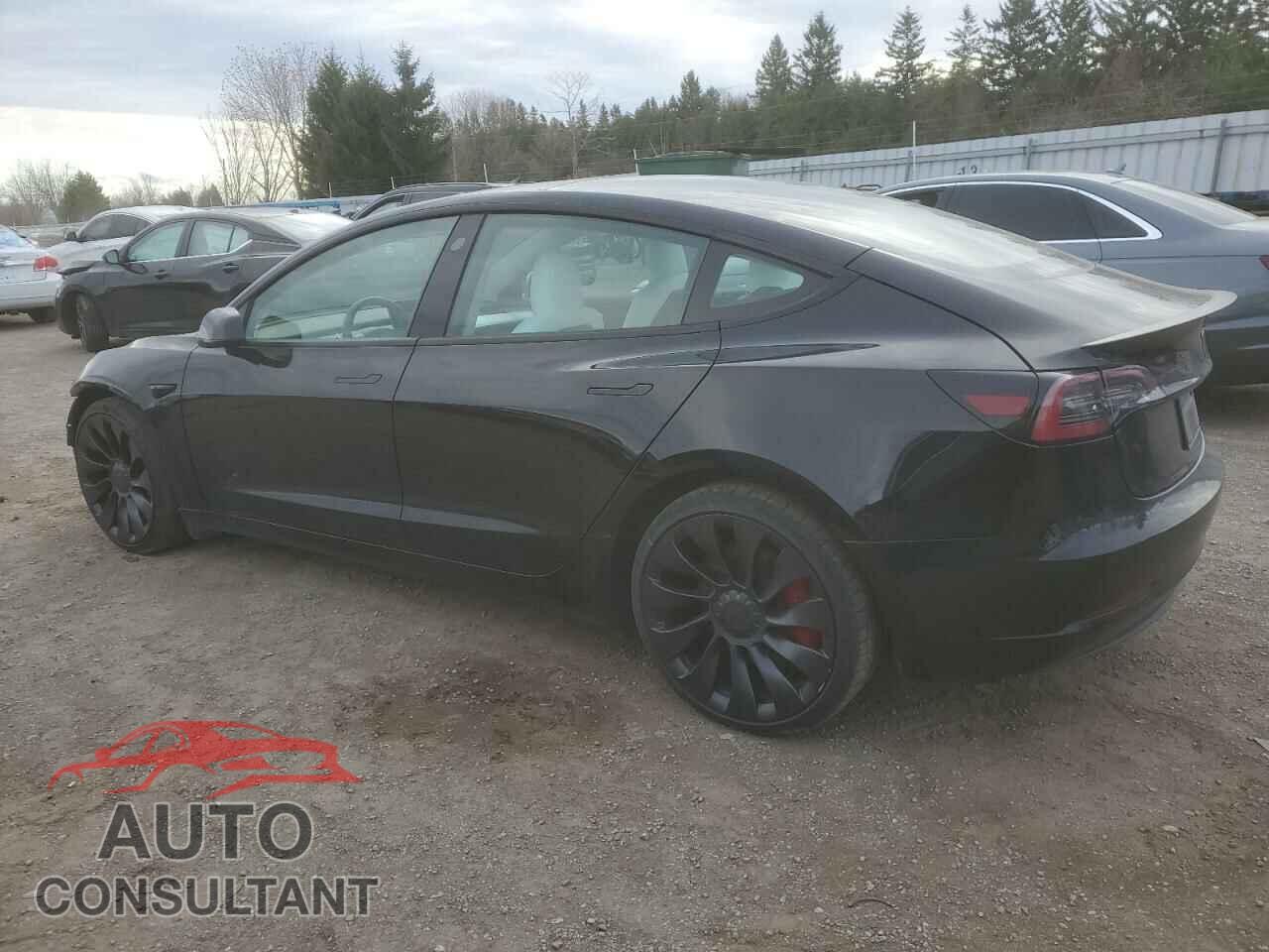 TESLA MODEL 3 2022 - 5YJ3E1ECXNF308535