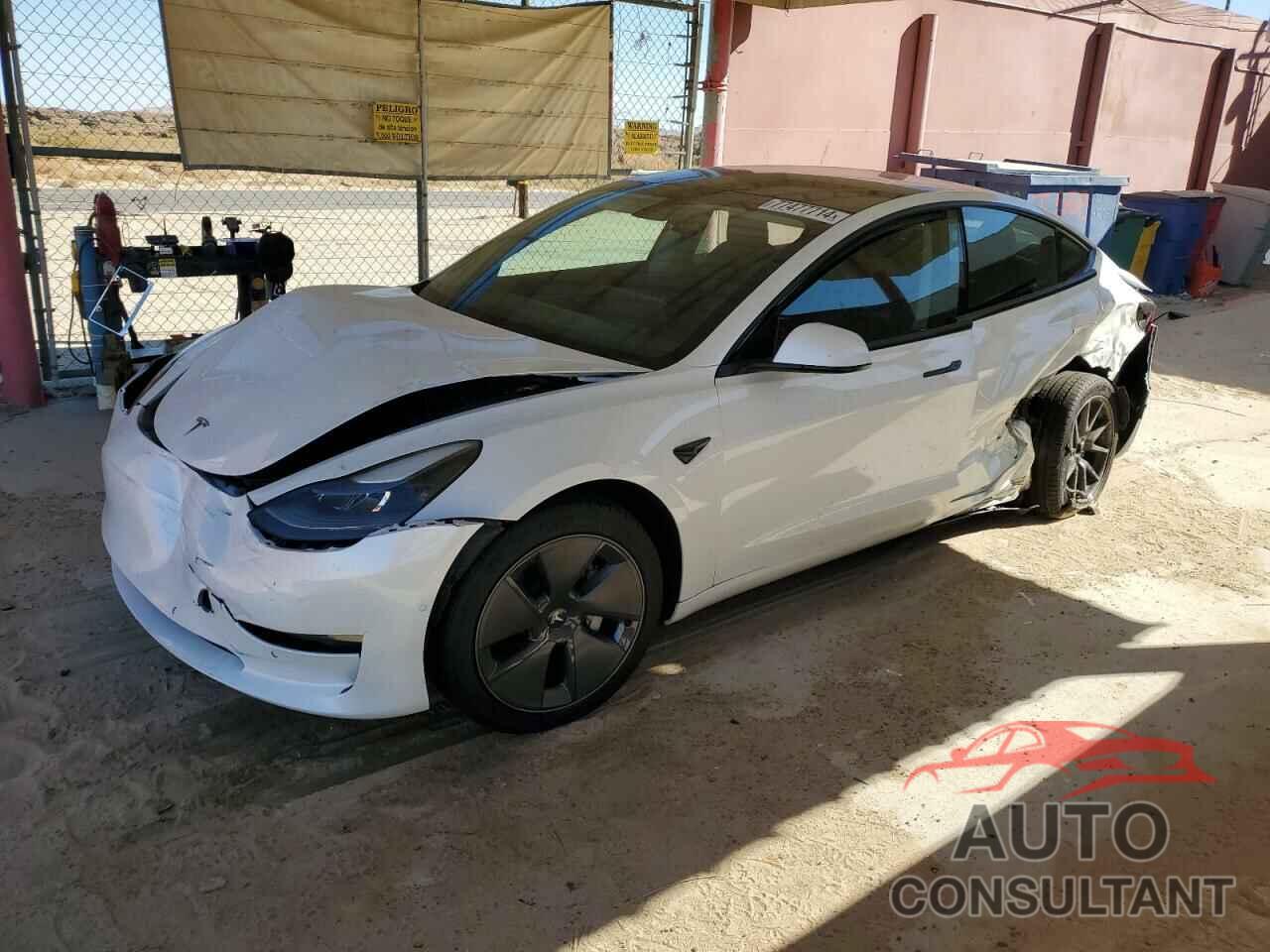 TESLA MODEL 3 2021 - 5YJ3E1EA4MF069495