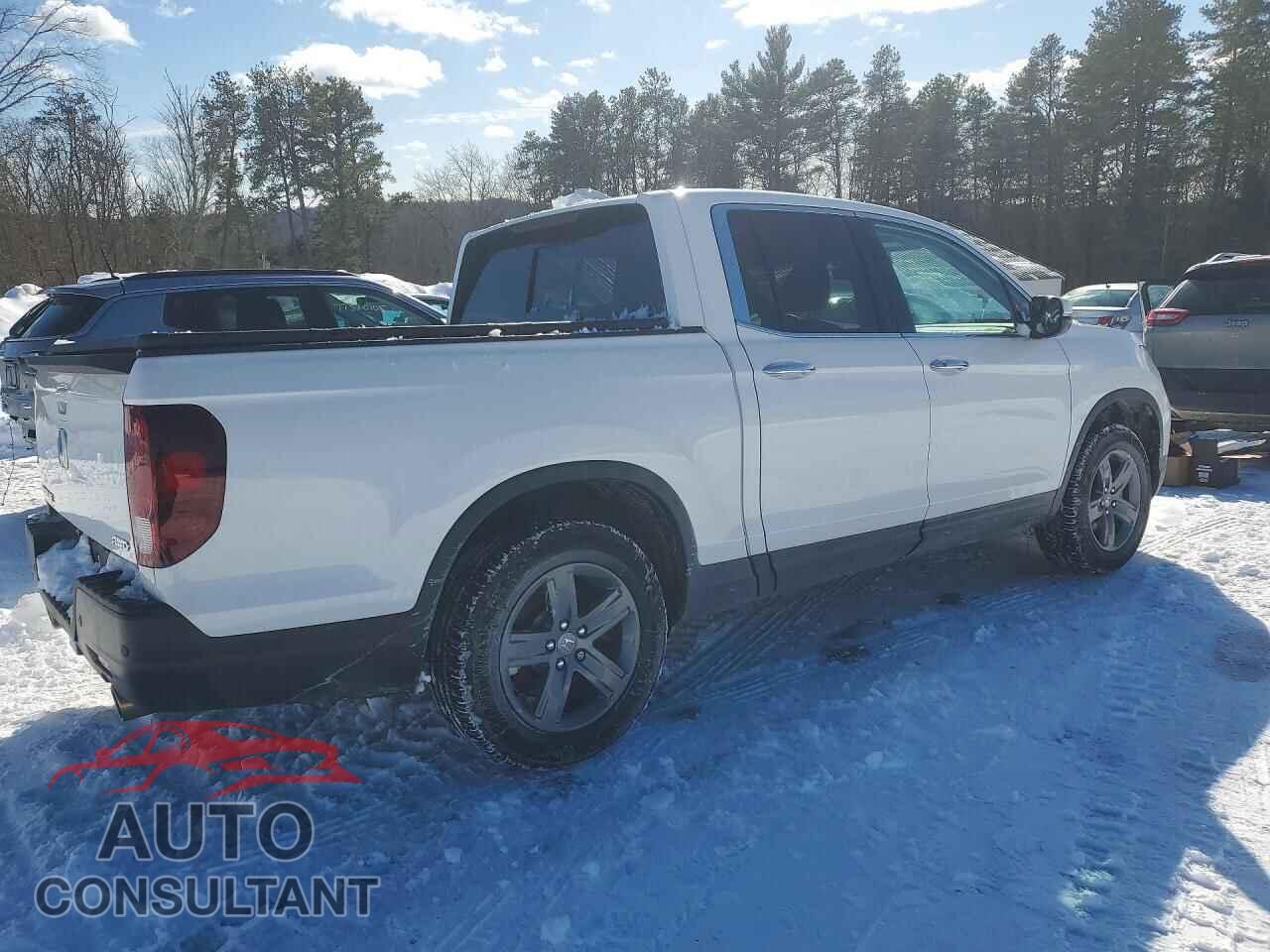 HONDA RIDGELINE 2023 - 5FPYK3F71PB040397