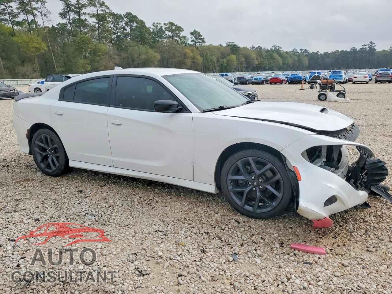 DODGE CHARGER 2019 - 2C3CDXHG0KH692971