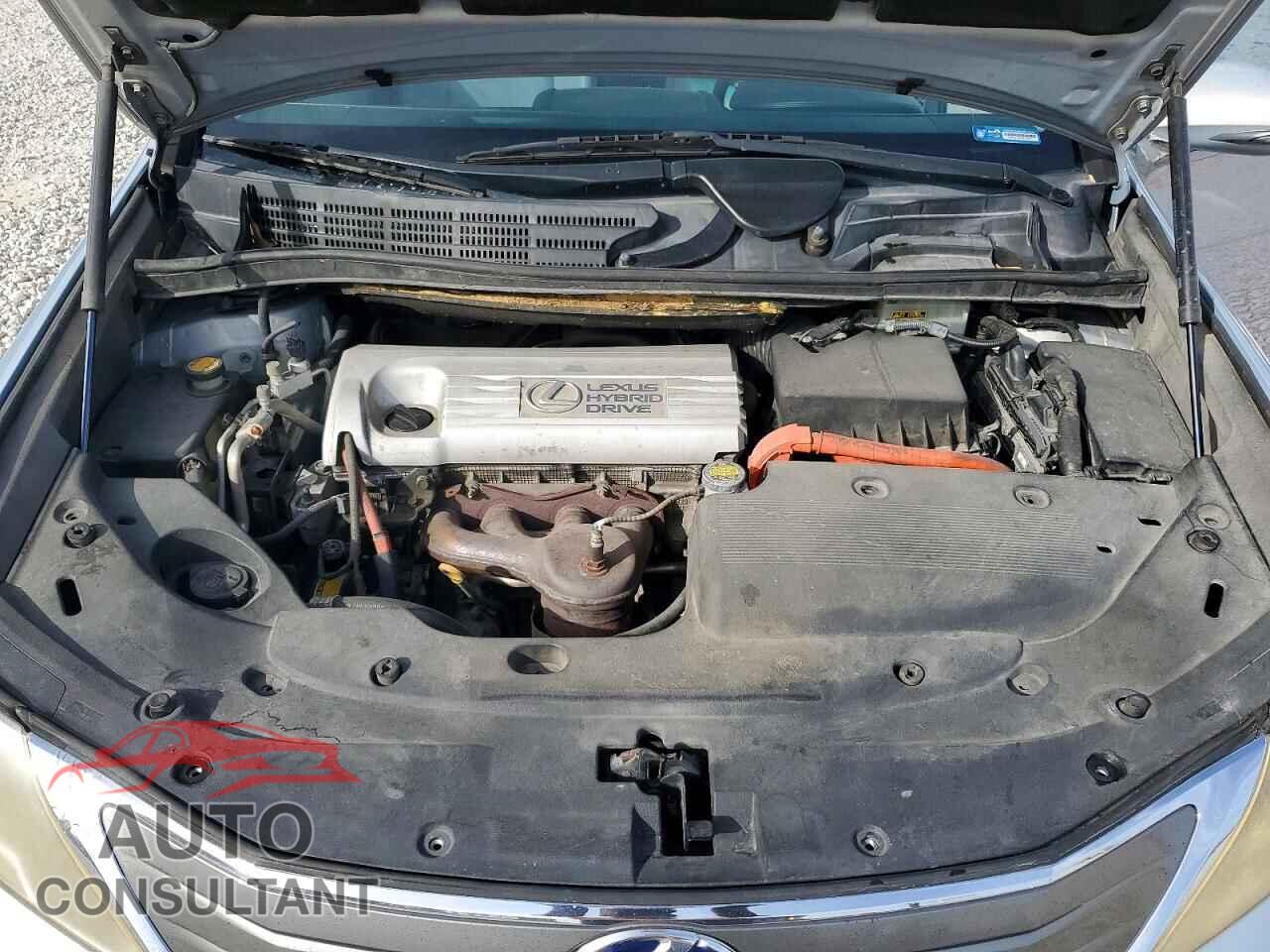 LEXUS HS 2010 - JTHBB1BA4A2029374