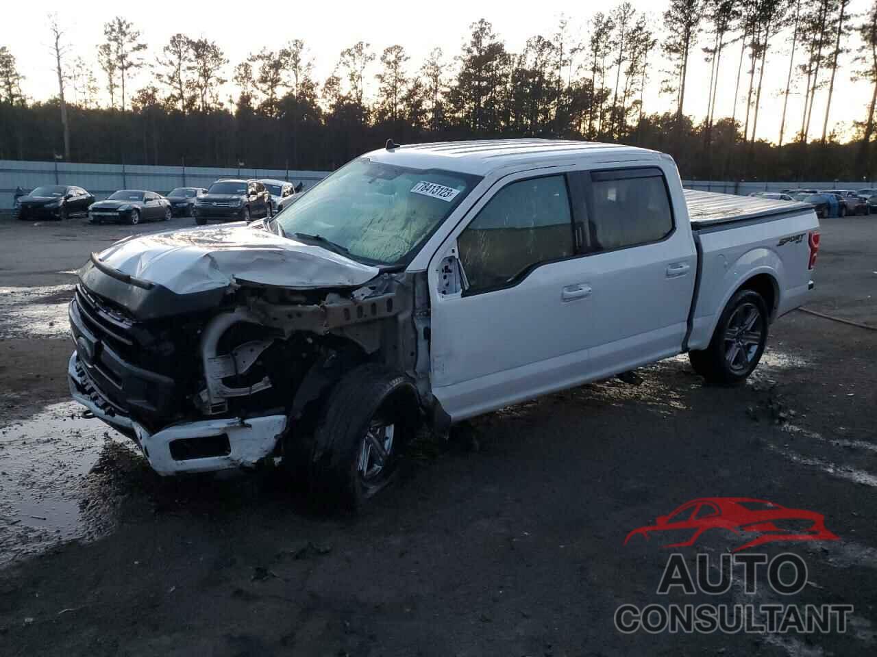 FORD F-150 2019 - 1FTEW1EP5KFB15614
