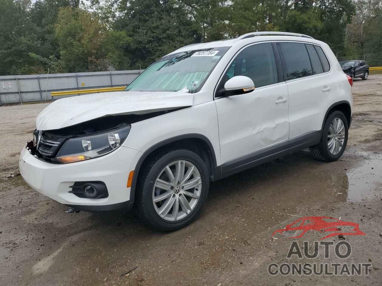 VOLKSWAGEN TIGUAN 2014 - WVGAV3AXXEW540104