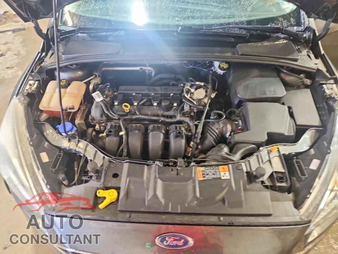 FORD FOCUS 2016 - 1FADP3F22GL401250