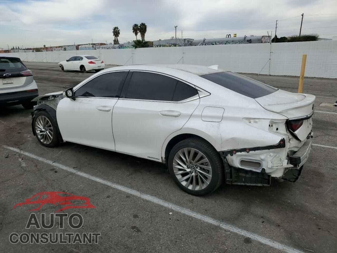 LEXUS ES300 2019 - 58AB21B1XKU001994