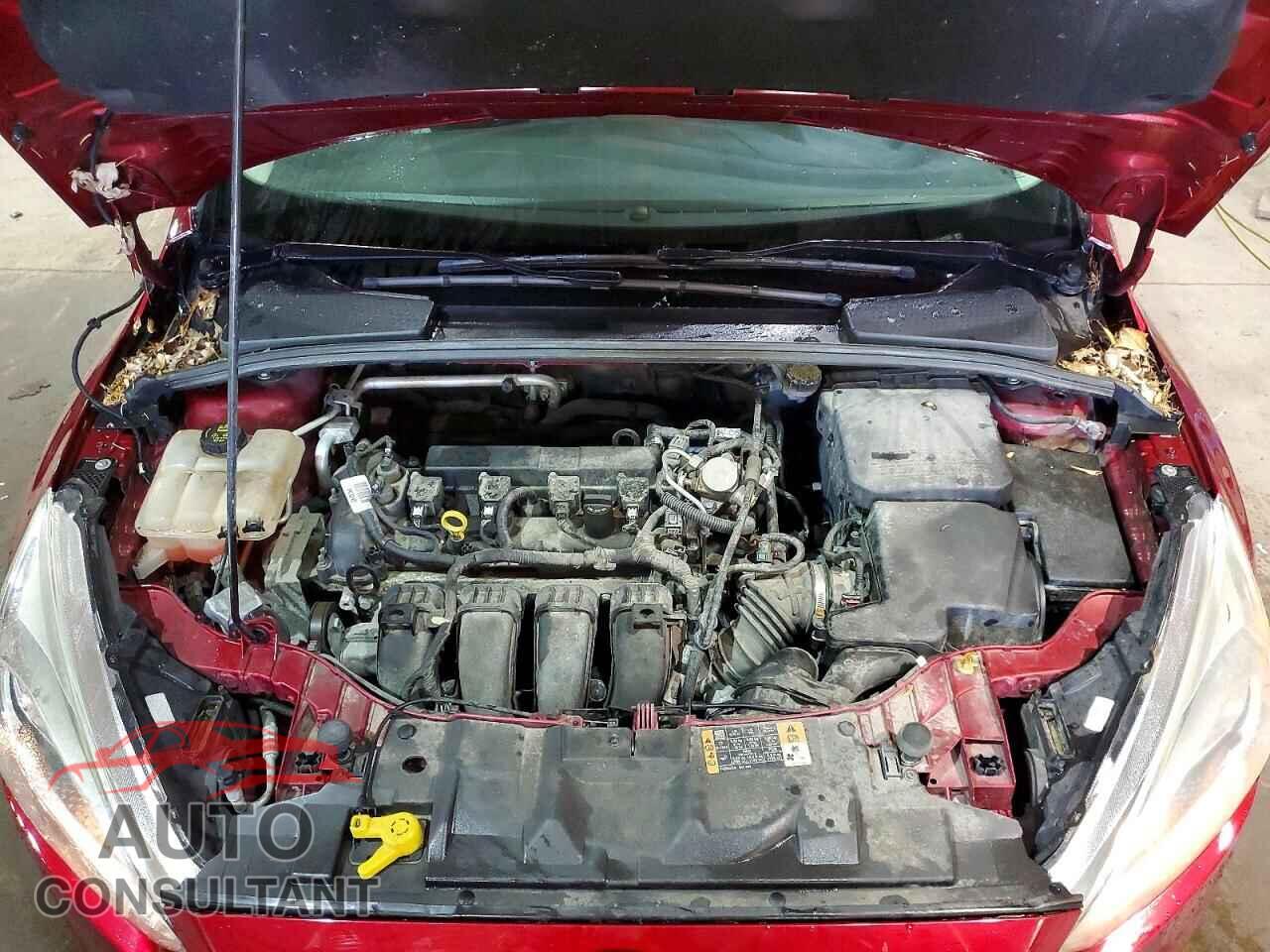 FORD FOCUS 2016 - 1FADP3F23GL328535