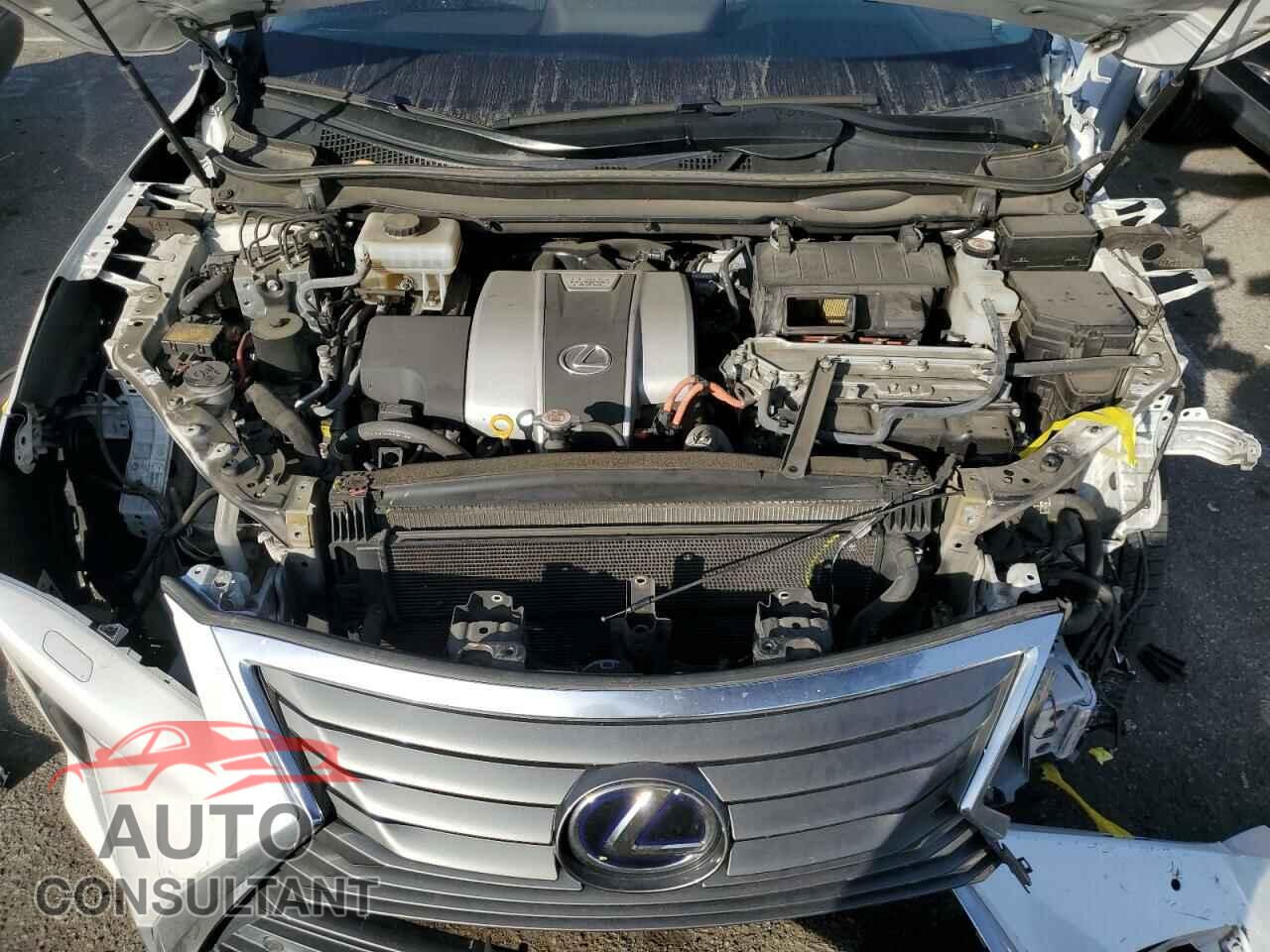 LEXUS RX450 2018 - 2T2BGMCA6JC024449