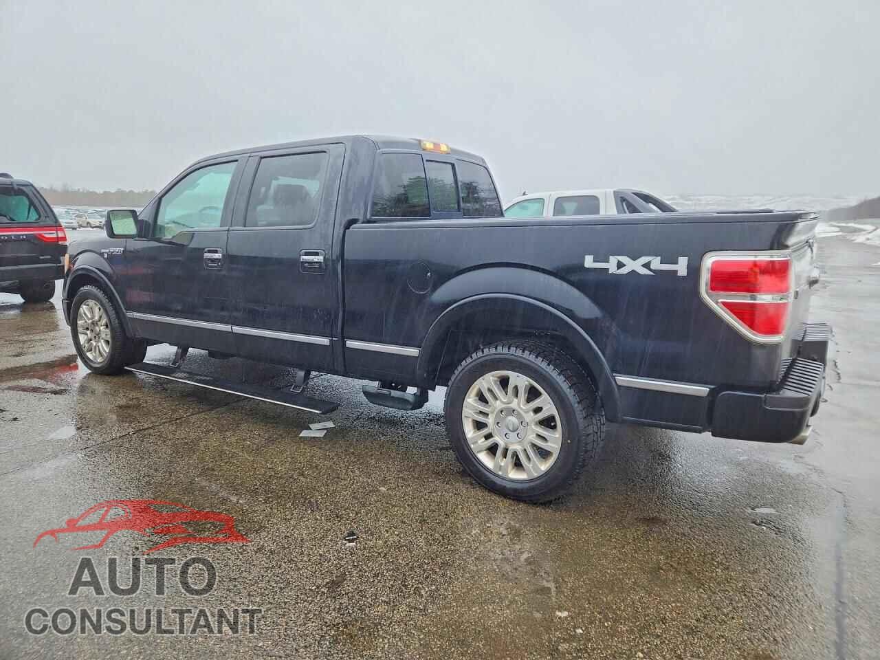 FORD UNKNOWN 2009 - 1FTPW14V29FB37749