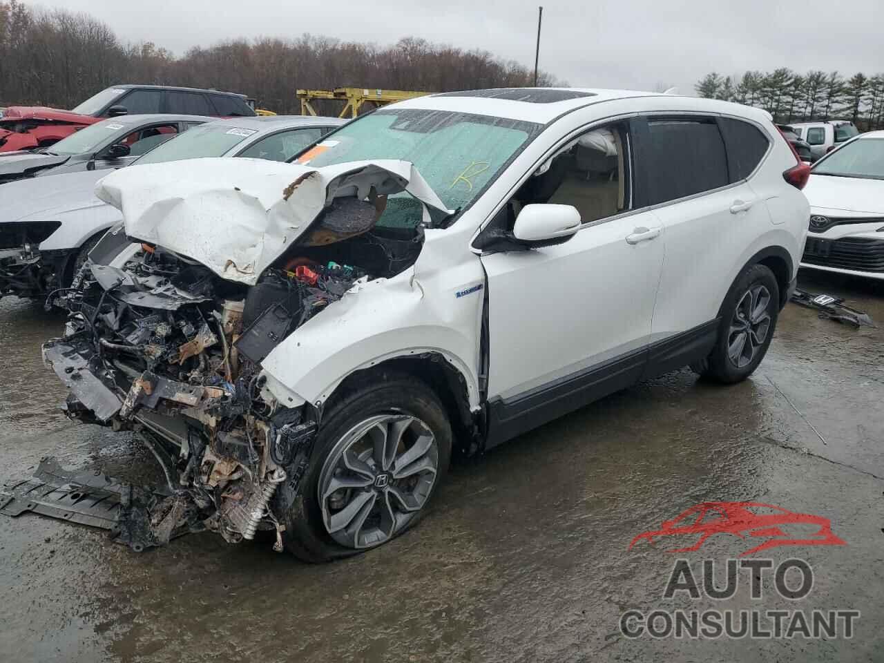HONDA CRV 2022 - 5J6RT6H80NL045841