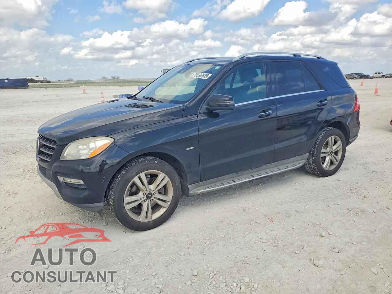 MERCEDES-BENZ M-CLASS 2012 - 4JGDA5HB8CA020055
