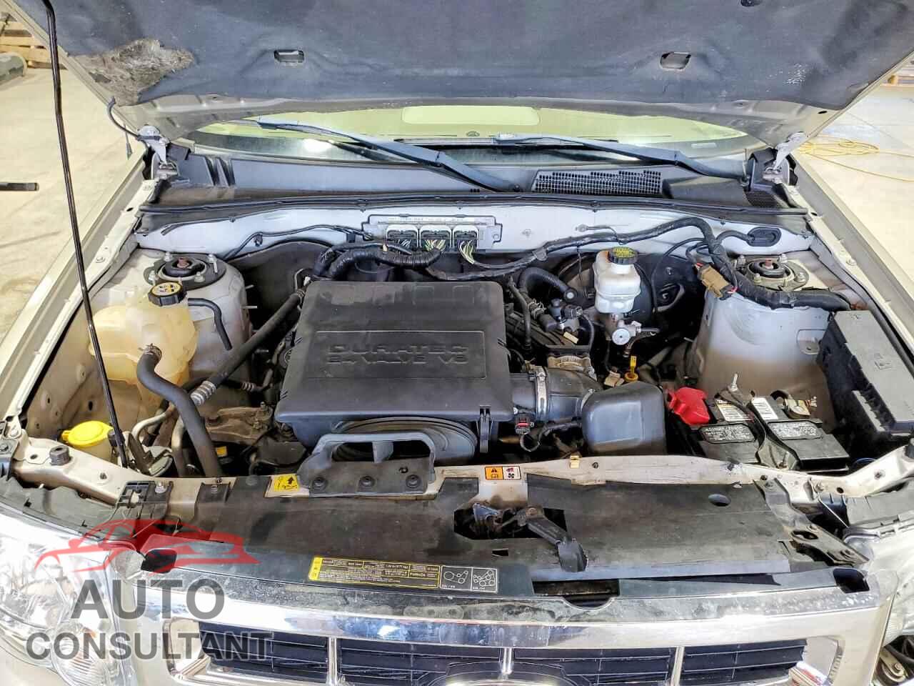 FORD ESCAPE 2012 - 1FMCU9DG1CKC00015