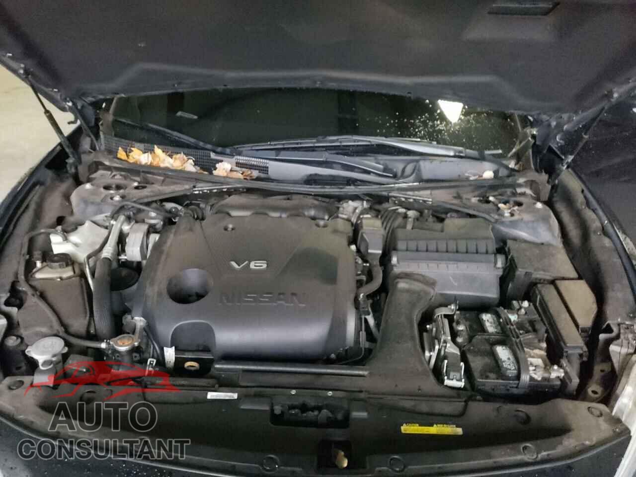 NISSAN MAXIMA 2017 - 1N4AA6AP1HC444228