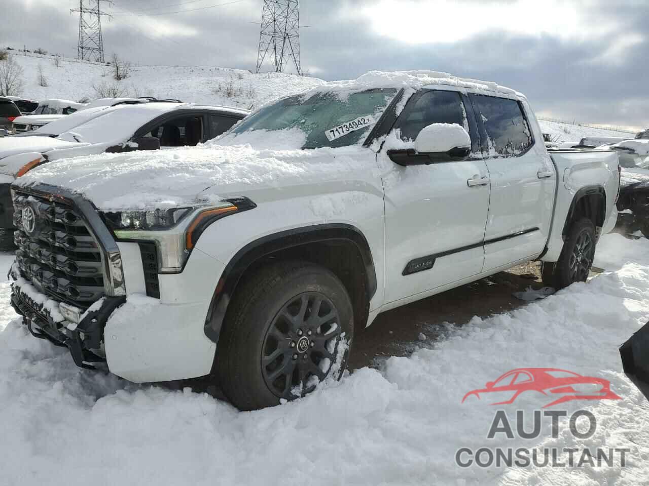 TOYOTA TUNDRA 2022 - 5TFNA5DBXNX015938