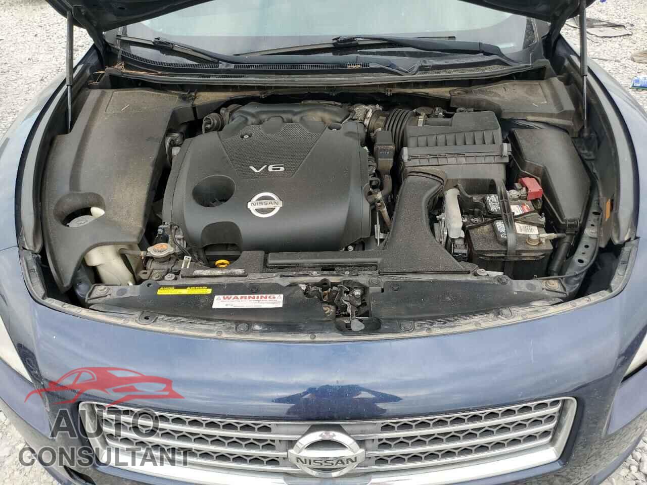 NISSAN MAXIMA 2010 - 1N4AA5AP7AC856475