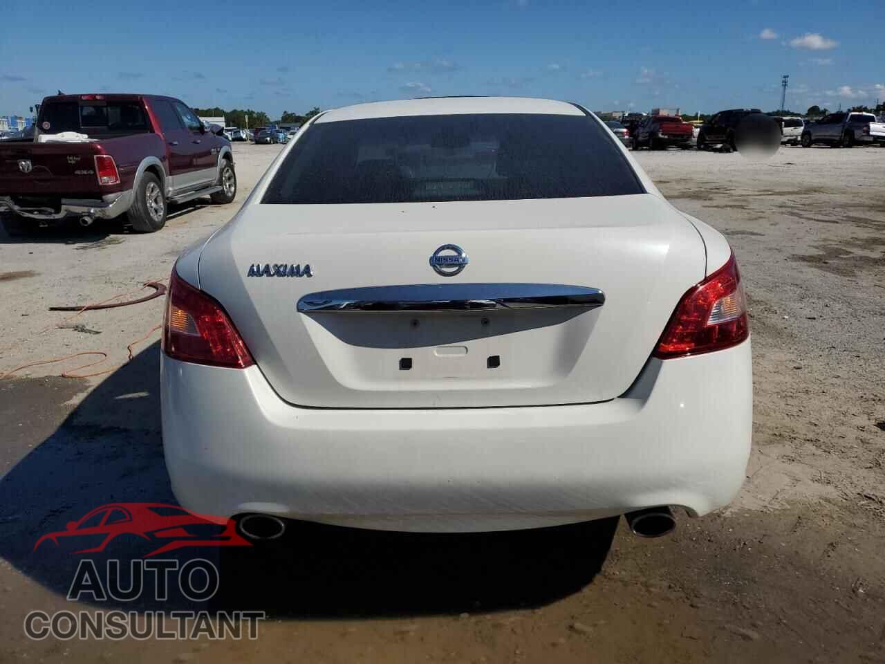 NISSAN MAXIMA 2011 - 1N4AA5AP0BC823402