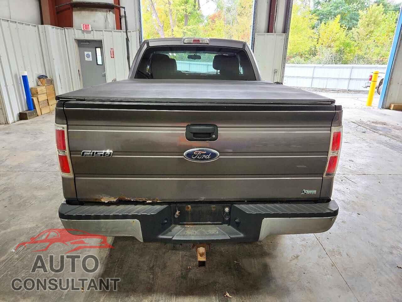 FORD F150 2010 - 1FTFX1EV6AFD60100