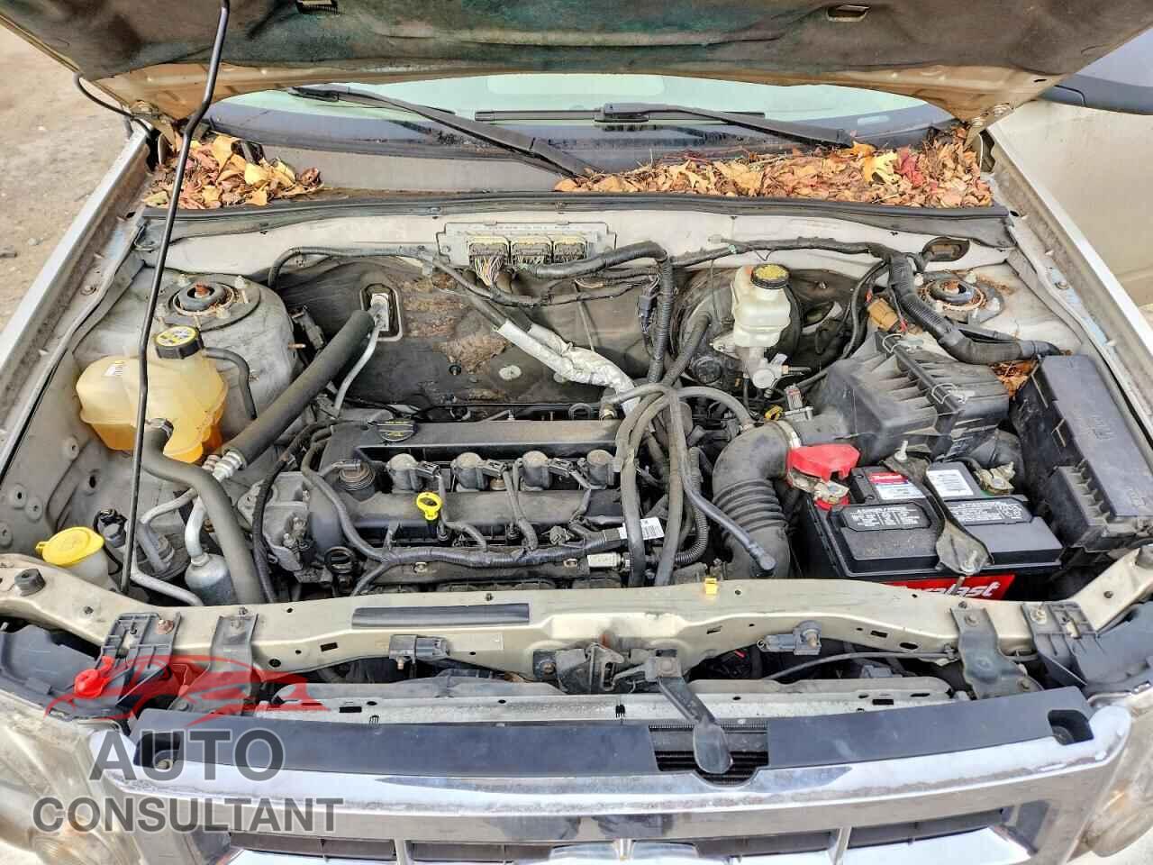 FORD ESCAPE 2010 - 1FMCU0D74AKB30924