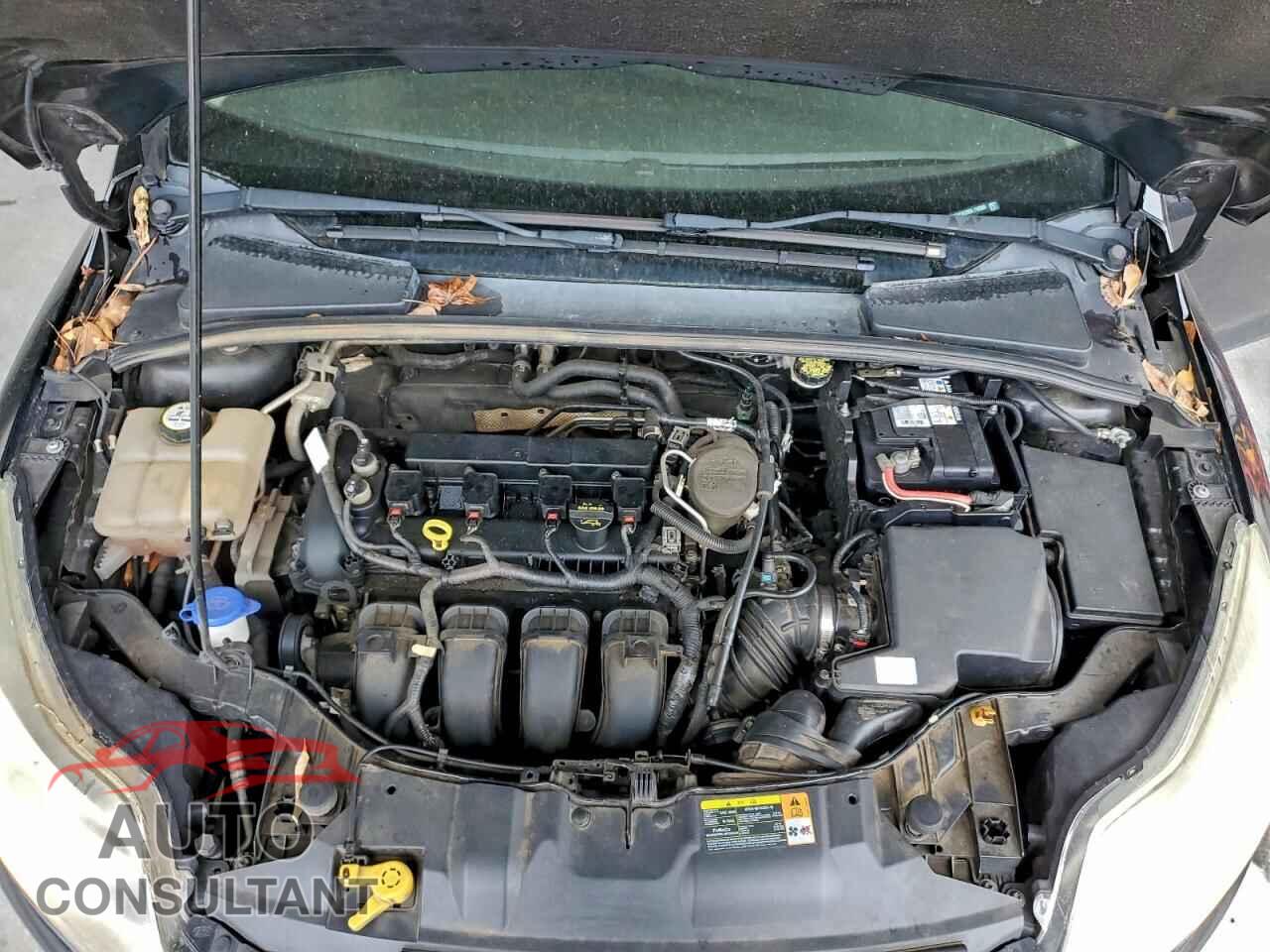 FORD FOCUS 2013 - 1FADP3K28DL119308