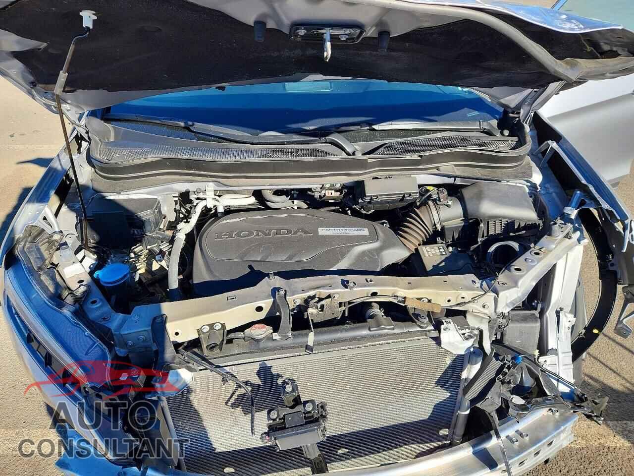 HONDA PILOT 2019 - 5FNYF6H03KB028064