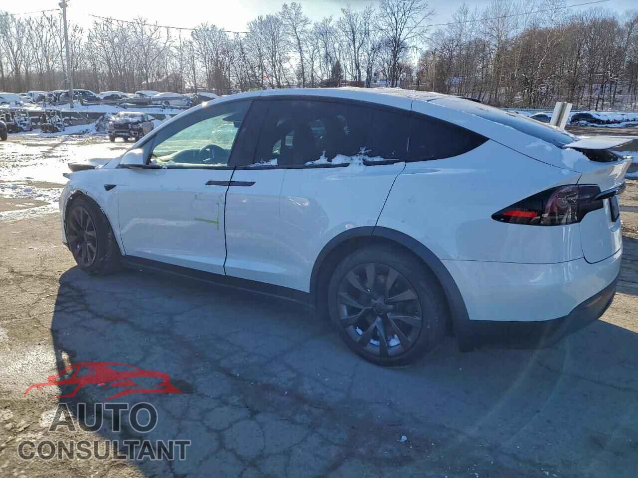 TESLA MODEL X 2023 - 7SAXCBE56PF386119