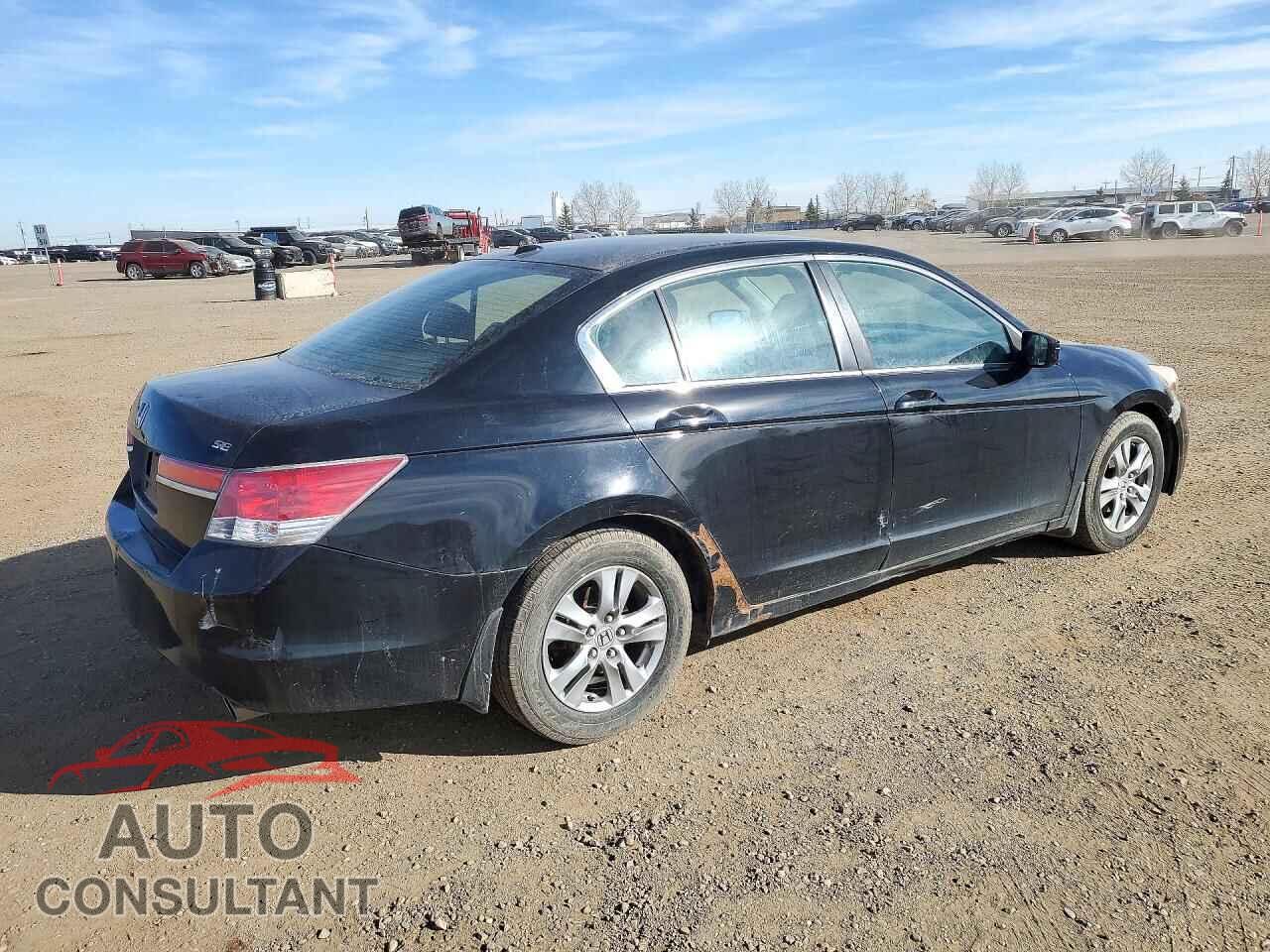 HONDA ACCORD 2011 - 1HGCP2F61BA803205