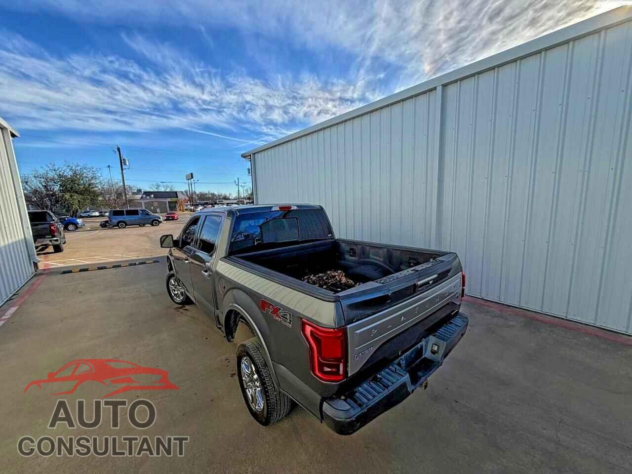 FORD F-150 2015 - 1FTEW1EF5FFB12841