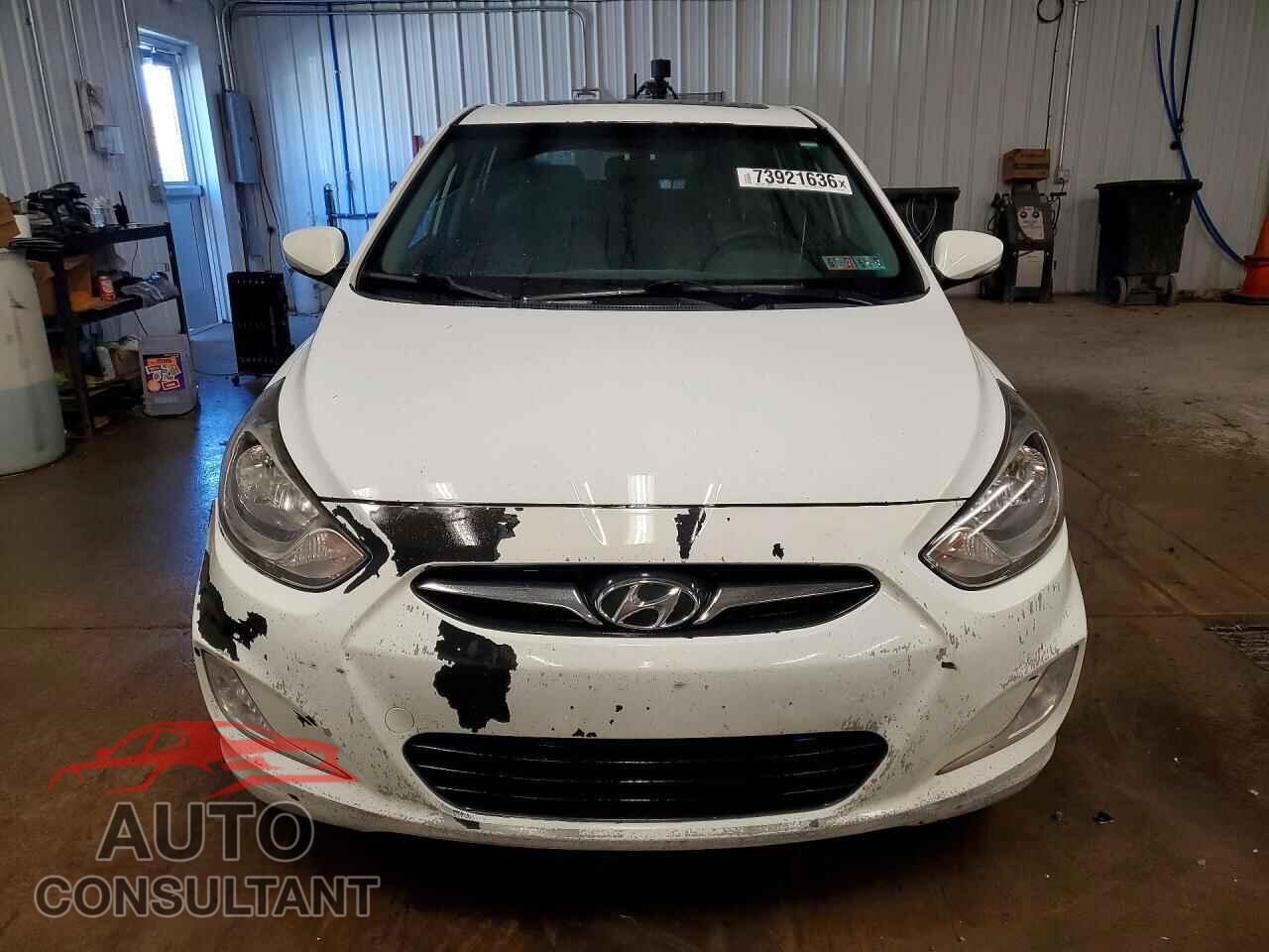 HYUNDAI ACCENT 2013 - KMHCU5AE7DU102608