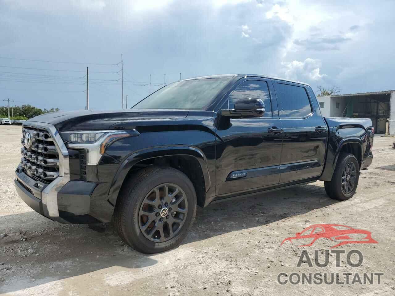 TOYOTA TUNDRA 2024 - 5TFNA5DBXRX141271