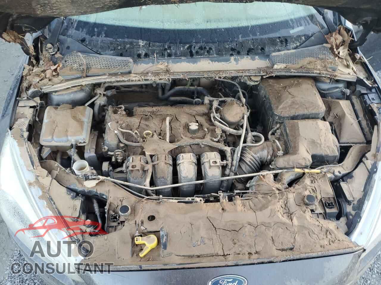 FORD FOCUS 2016 - 1FADP3F28GL269482