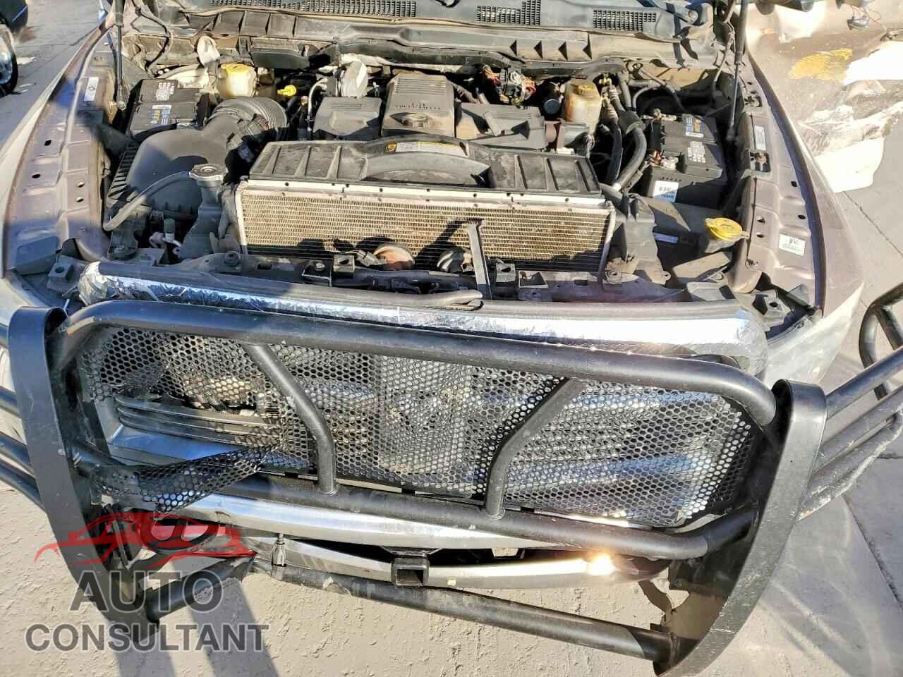 DODGE All Models 2010 - 3D73Y3HL1AG157495