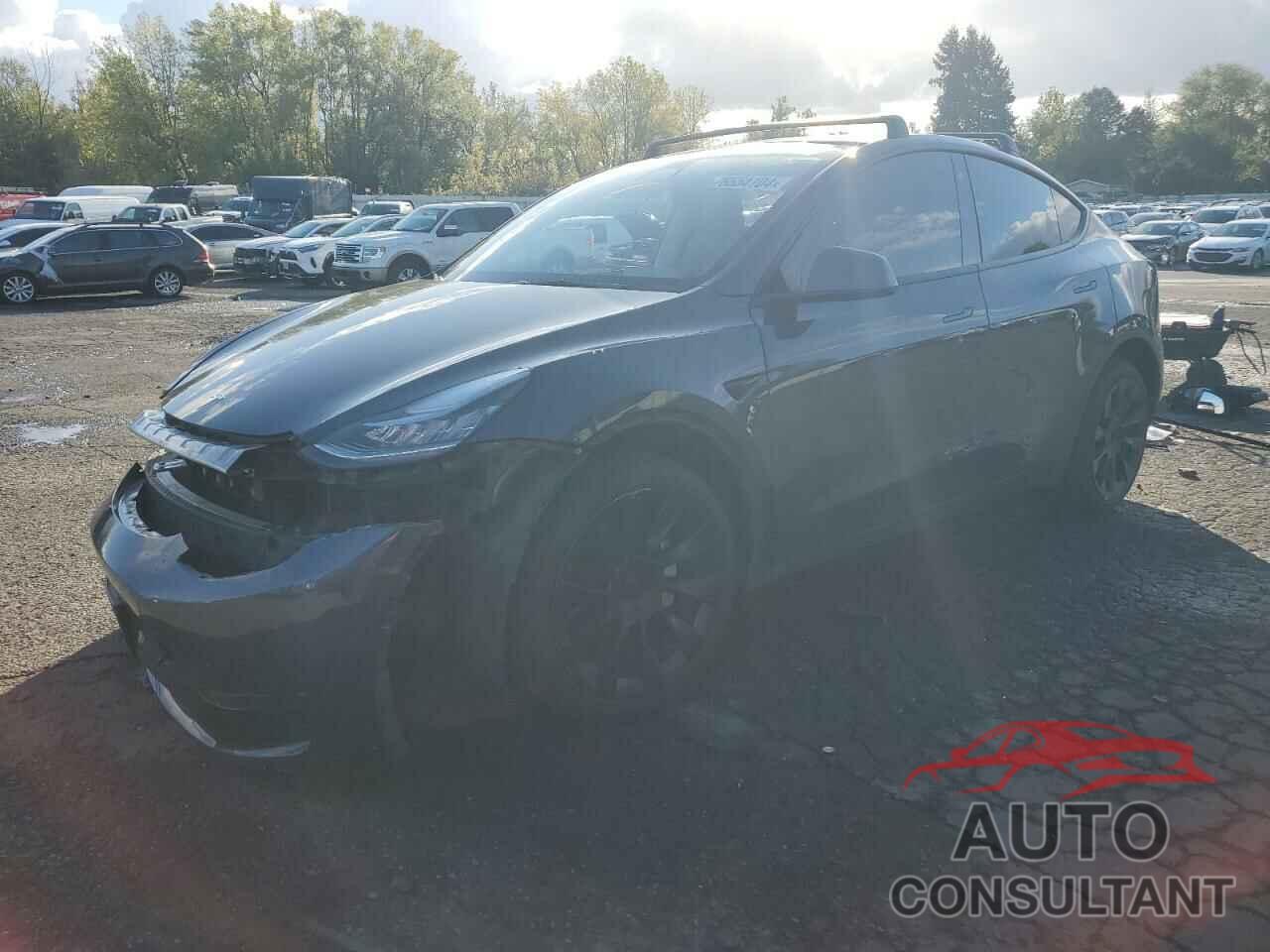 TESLA MODEL Y 2023 - 7SAYGDEEXPF598767